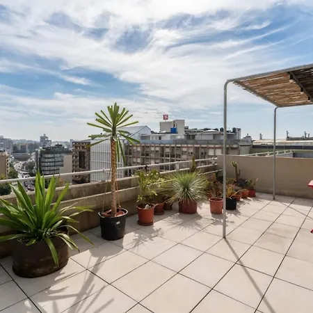 Modern Luminous Rooftop *